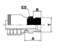 Metric male 24° cone